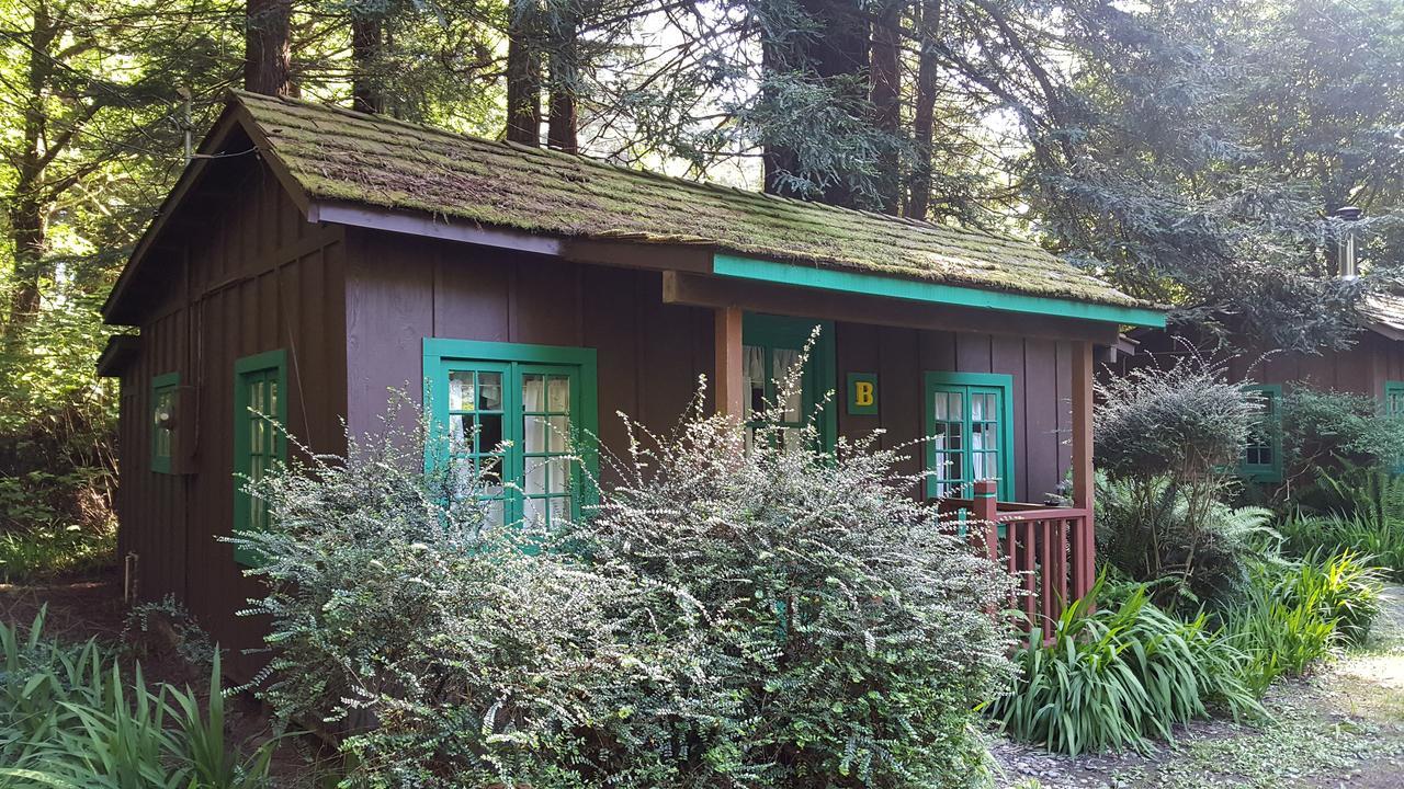 Emerald Forest Cabins Trinidad Eksteriør bilde