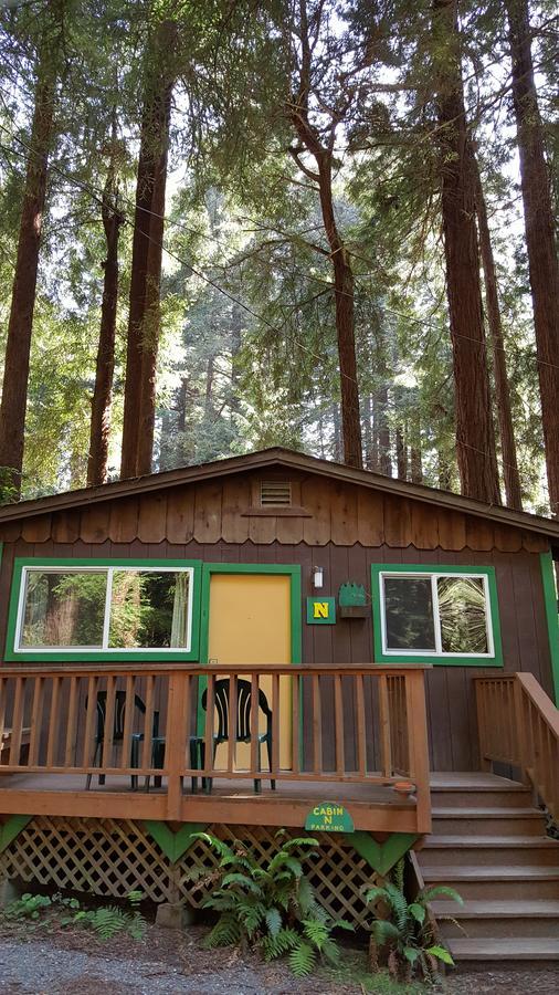 Emerald Forest Cabins Trinidad Rom bilde